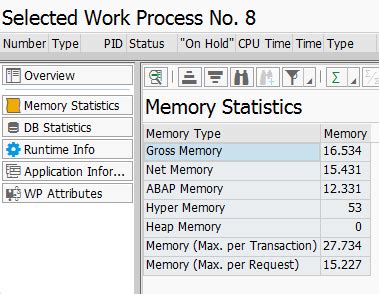 Memory related runtime errors in SAP .